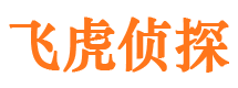 涉县市侦探调查公司